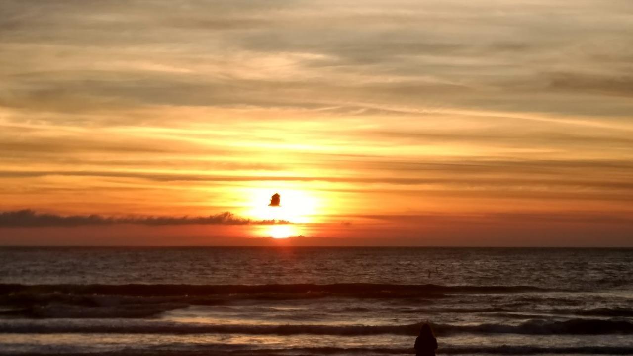 Mocambique 2* Florianopolis